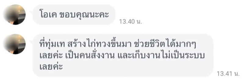 A review message from a real teacher